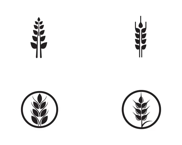 Ρύζι Σιτάρι Τροφίμων Λογότυπο Μαύρο Διάνυσμα — Διανυσματικό Αρχείο