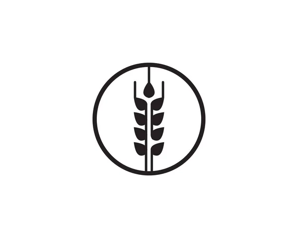 小麦米食べ物黒いロゴ ベクトル — ストックベクタ
