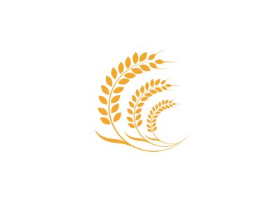 Tarım buğday Logo şablonu vektör simgesi tasarım - Vecto