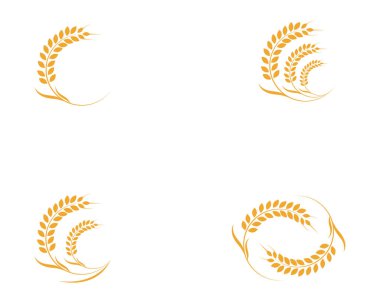 Tarım buğday Logo şablonu vektör simgesi tasarım - Vecto