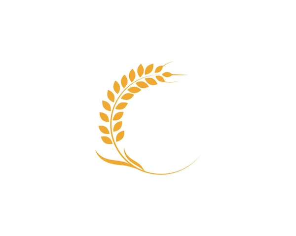 Agriculture Wheat Logo Template Vector Icon Design Vecto — Stock Vector