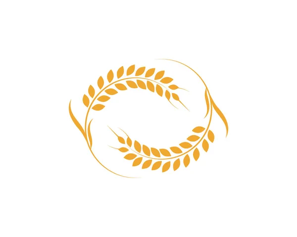Agriculture Wheat Logo Template Vector Icon Design Vecto — Stock Vector