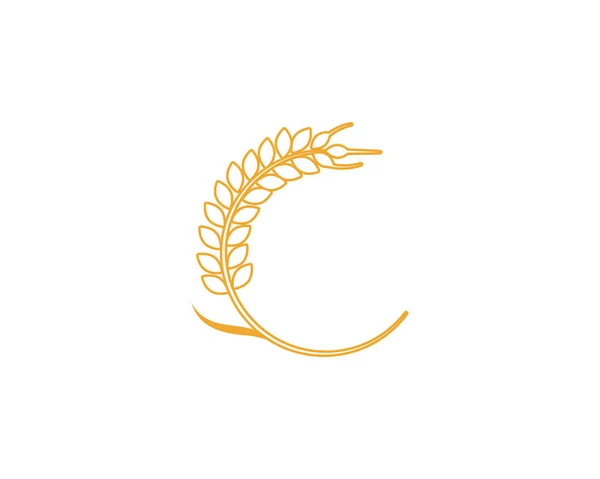 Agriculture Wheat Logo Template Vector Icon Design Vecto — Stock Vector