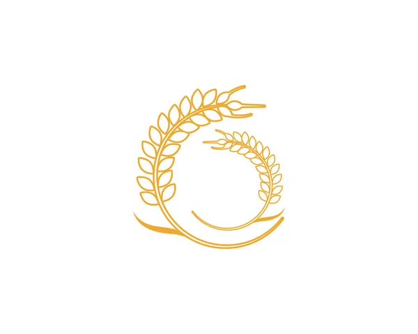 Landwirtschaft Weizen Logo Vorlage Vektor Icon Design Vecto — Stockvektor