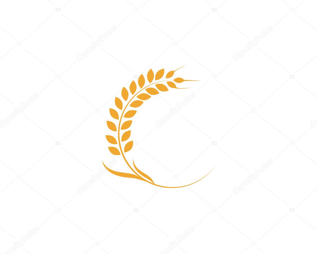 Agriculture wheat Logo Template vector icon design - Vecto