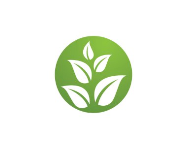 Ağaç yaprak vektör simge illüstrasyon tasarım şablonu