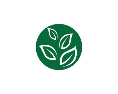 Eco ağaç yaprak Logo şablonu - vektör