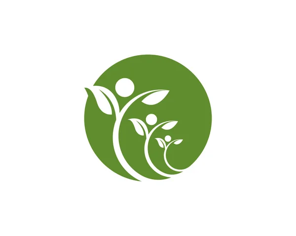 ツリーのリーフのロゴのテンプレート ベクトル — ストックベクタ