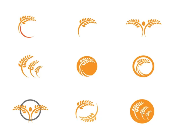 Agricoltura Grano Logo Modello Vita Sana Logo Vettore Icona Desig — Vettoriale Stock