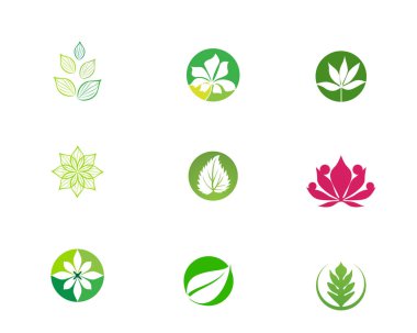 yeşil yaprak ekoloji doğa öğesi vektör simgesi - vektör