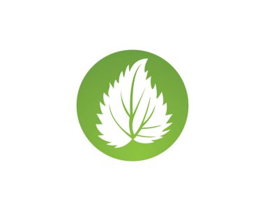 yeşil yaprak ekoloji doğa öğesi vektör simgesi - vektör