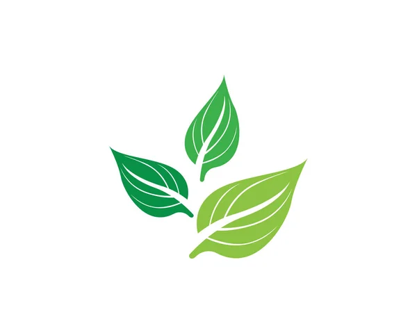 green leaf ecology nature element vector icon - Vector