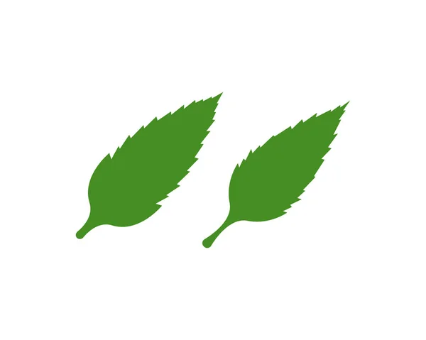 Zielony Liść Ekologia Natura Element Wektor Ikona Wektor — Wektor stockowy