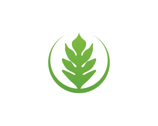 Иконка Вектора Элемента Природы Зеленого Листа Вектор — стоковый вектор