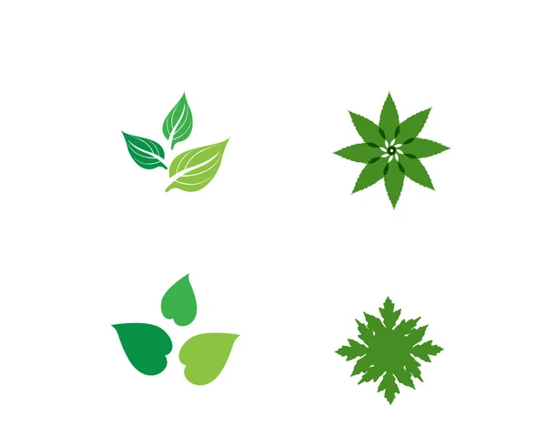 Verde Hoja Ecología Naturaleza Elemento Vector Icono Vector — Vector de stock