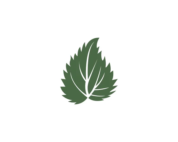 緑の葉の生態自然要素ベクトル アイコン ベクトル — ストックベクタ
