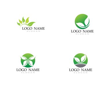 Yeşil yapraklı ekoloji doğa element ikonu logoları