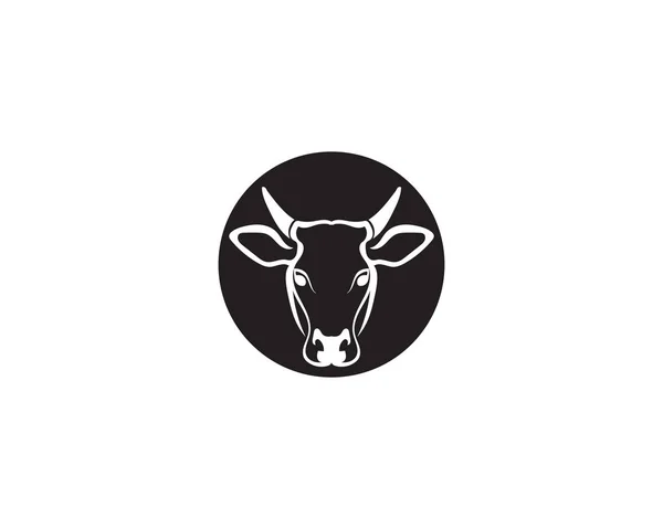 Modelo Logótipo Cabeça Vaca —  Vetores de Stock