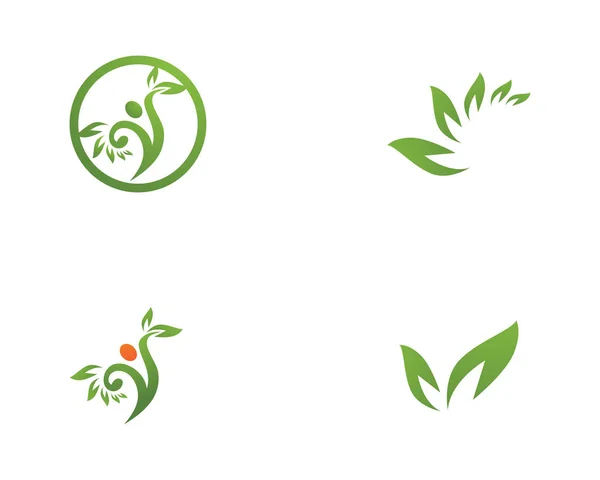 Зеленый лист логотип природы и шаблон символа — стоковый вектор