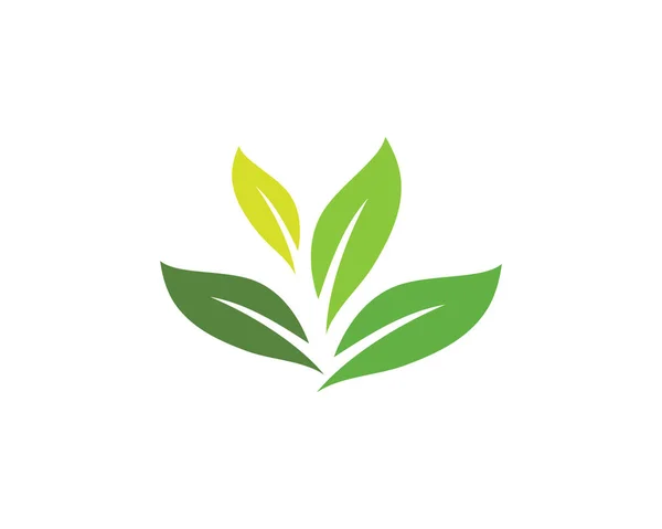 Vert feuille écologie élément nature vecteur icône — Image vectorielle