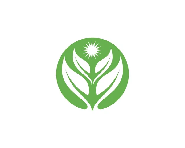 Ecology leaves logo illustration