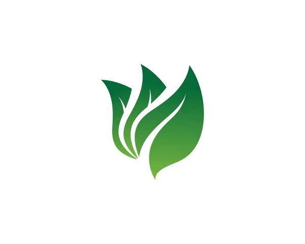 Ecology leaves logo illustration