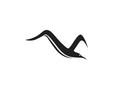Wing Falcon logo şablon vektör illüstrasyon 