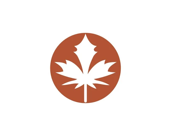 Maple leaf vectorillustratie — Stockvector