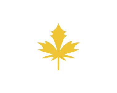 Akçaağaç yaprağı vektör çizim