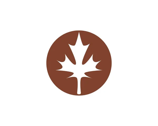 Maple leaf vector illustration — Stock Vector