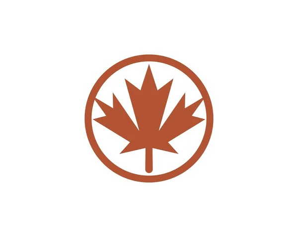 Maple leaf vectorillustratie — Stockvector