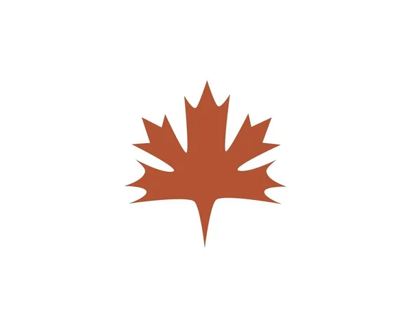 Maple leaf vectorillustratie — Stockvector