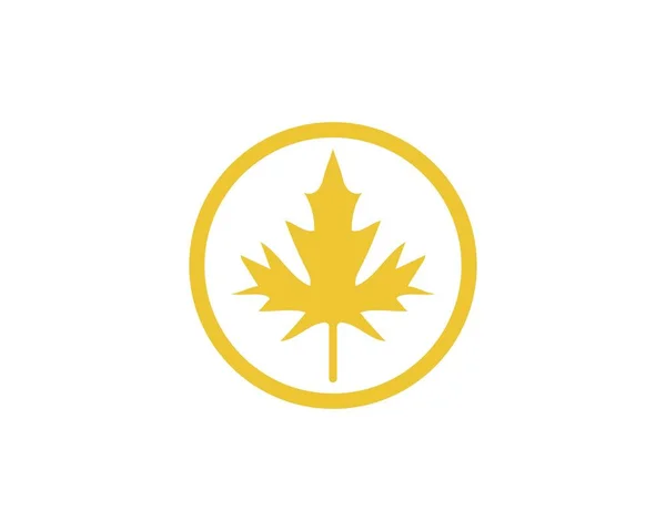 Maple leaf vectorillustratie — Stockvector