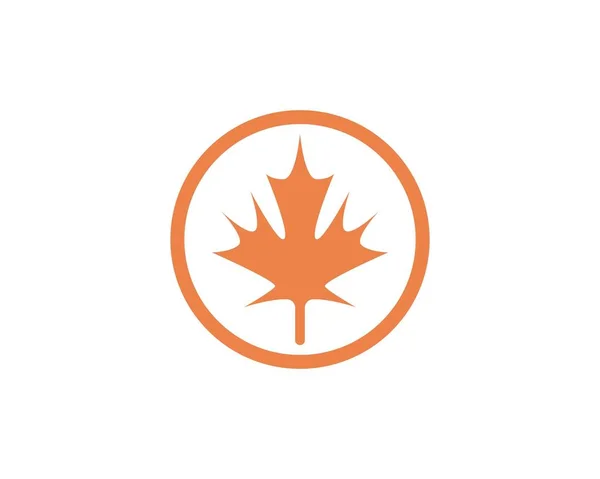 Maple leaf vectorillustratie — Stockvector