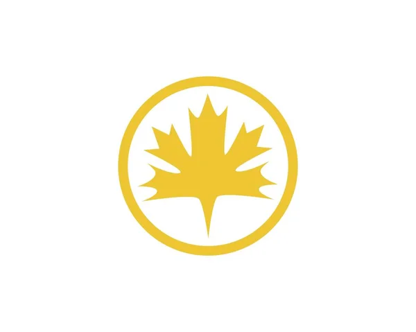 Maple leaf vectorillustratie — Stockvector