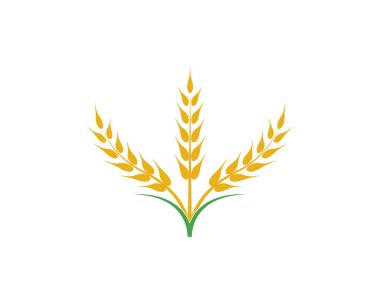 Tarım buğday vektör