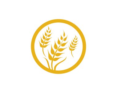 Tarım buğday vektör