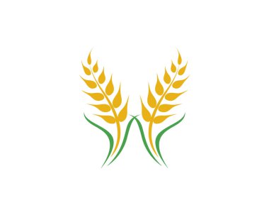 Tarım buğday vektör