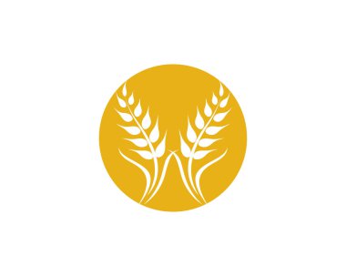 Tarım buğday vektör