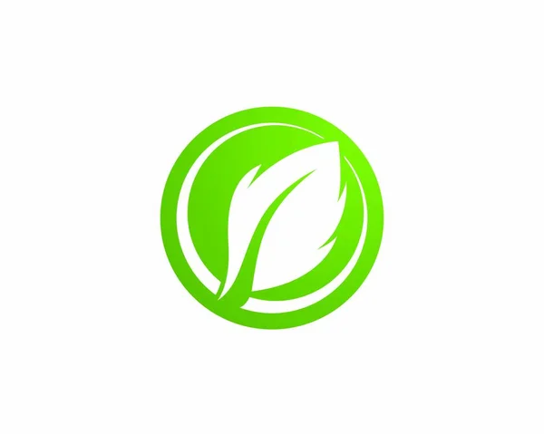 Logos de la ecología verde de la hoja del árbol — Archivo Imágenes Vectoriales