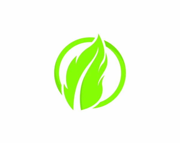 Logo 's van groene boombladecologie — Stockvector
