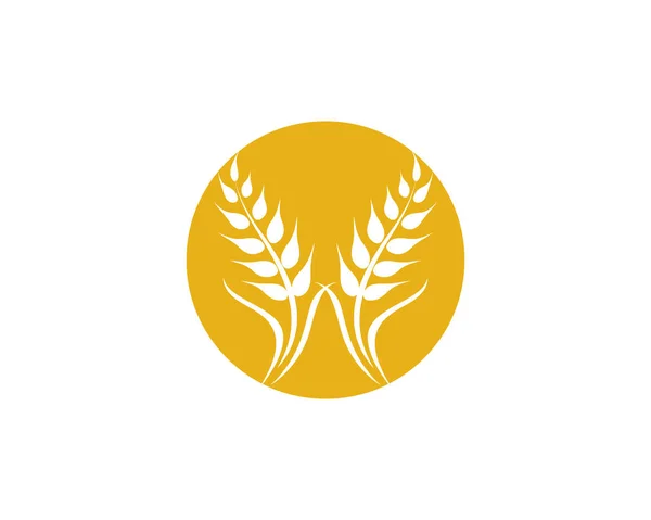 Вектор пшеницы — стоковый вектор