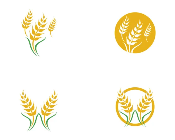 Wektor pszenny rolnictwo — Wektor stockowy