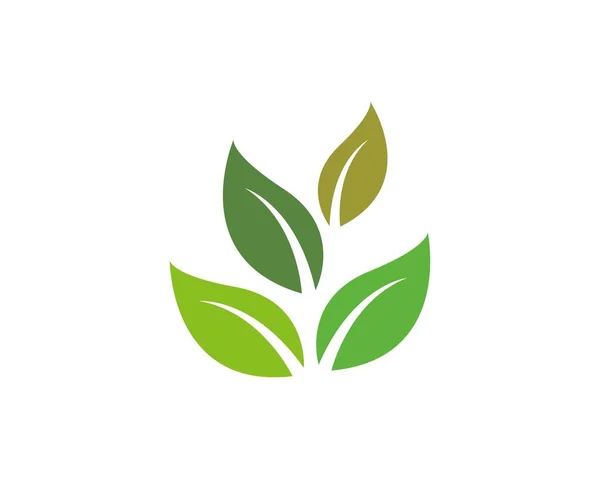 Логотипы экологии листьев зеленого дерева — стоковый вектор