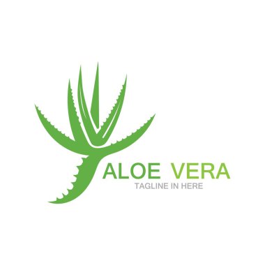 Aloe vera logo vektör ilüstrasyon şablonu