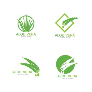 Aloe vera logo vektör ilüstrasyon şablonu