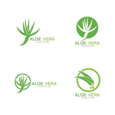 Aloe vera logo vektör ilüstrasyon şablonu