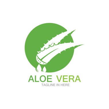 Aloe vera logo vektör ilüstrasyon şablonu
