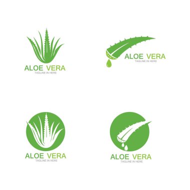Aloe vera logo vektör ilüstrasyon şablonu