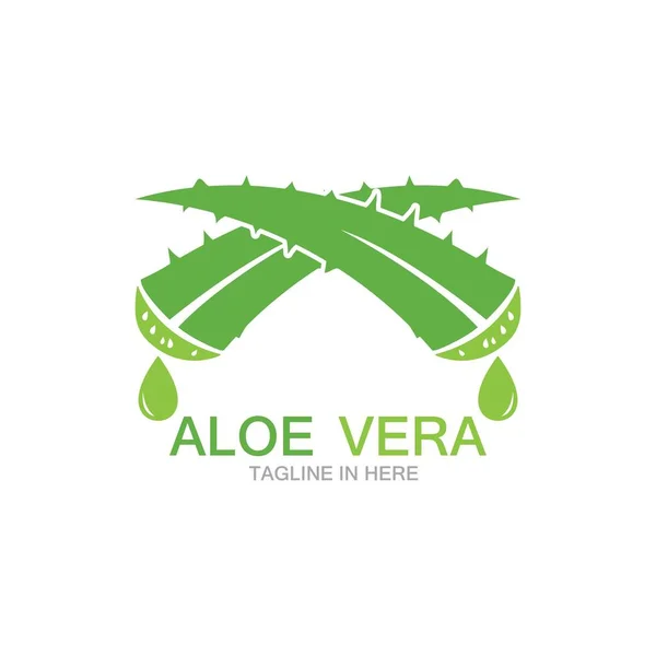 Templat logo vektor ilustrasi Aloe vera - Stok Vektor